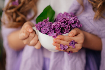 A mesmerizing image of a girl in a white t-shirt and lilac sweater holding a cup with lilac blossoms inside, with long chestnut hair delicately holding lilac flowers between her fingers.Horizontal - obrazy, fototapety, plakaty