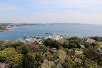 Obraz premium 江の島