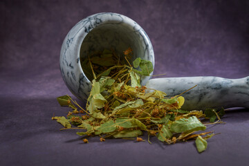 fresh linden leaves, medicinal plant for infusions, in a ceramic mortar.
