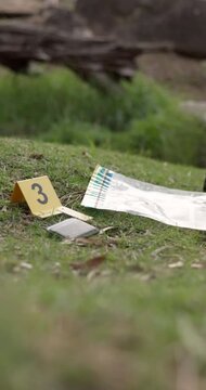 Investigation, evidence marker and forensics at crime scene in woods with photographs of proof for robbery. Accident, analysis and homicide with yellow numbers for case research in outdoor forest