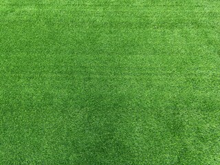 Artificial grass or lawn turf in park.