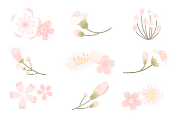 Png white sakura flower sticker element set