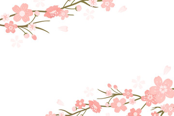 Obraz na płótnie Canvas Sakura png transparent background Hanami festival
