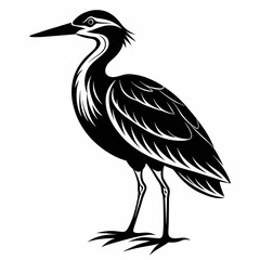 black crowned crane heron on a white background   Vector Illustration 