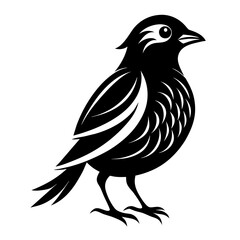 eagle cartoon isolated on white   Vector Illustration