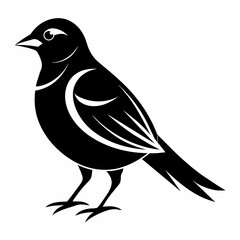 crow on a branch   Vector Illustration
