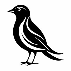 illustration of a bird   Vector Illustration