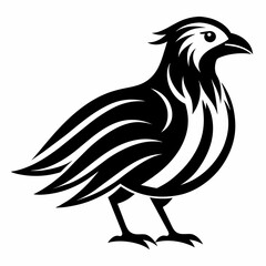 rooster isolated on white background   Vector Illustration