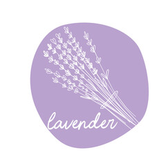 Lavender, line art, vector illustration - 789844705