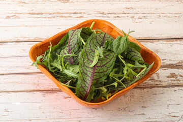 Green mix salad in the bowl