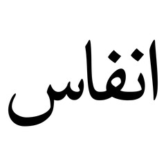 Anfas Muslim Girls Name Naskh Font Arabic Calligraphy
