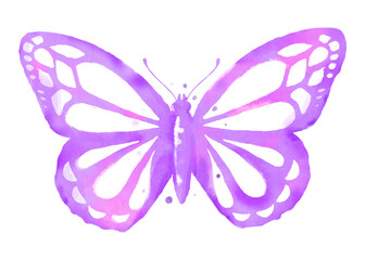 Watercolor butterfly png sticker, pink design element