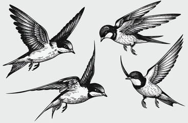 four birds flying in the air with their wings spread