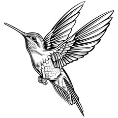 a black and white drawing of a hummingbird