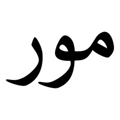 Mawar Muslim Girls Name Naskh Font Arabic Calligraphy