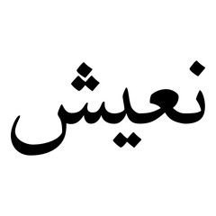Niyusha Muslim Girls Name Naskh Font Arabic Calligraphy