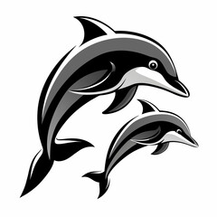 Dolphin isolated on white