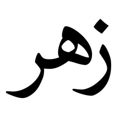 Zuhr Muslim Girls Name Naskh Font Arabic Calligraphy