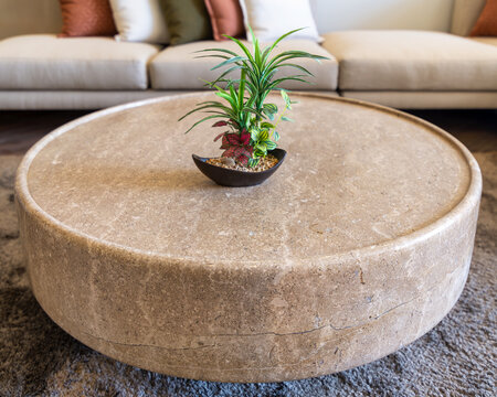 Close-up of a potted plant on a round marble coffee table with couch in the background in a modern living room. The coffee table has a sleek marble surface and a minimalist frame
