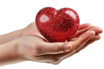 Shiny red heart cradled in caring hands isolated on transparent background