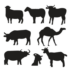 Cows, goats, camel in different poses vector set. Silhouettes