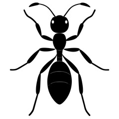 High-Quality Ant in White Background Vector Illustration