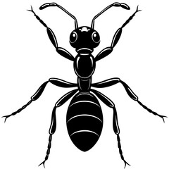 High-Quality Ant in White Background Vector Illustration