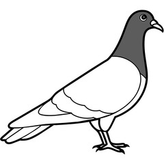 dove of peace