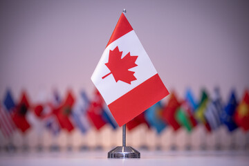 Maple leaf on the Canadian flag design