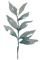 Hand painted watercolor green leaf transparent png
