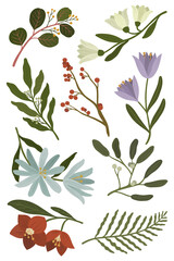 Blooming winter botanicals transparent png
