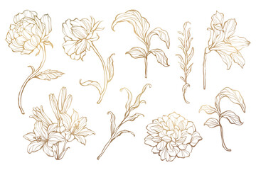 Gold floral outline set transparent png