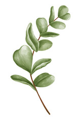 Hand drawn green leaves transparent png
