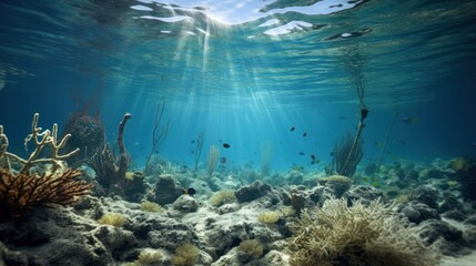 Underwater view, dead coral or aquatic plants, garbage under the sea,Undersea garbage covers coral reefs, environmental problems