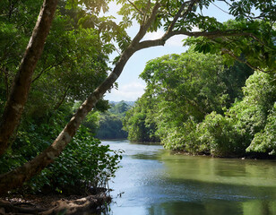 River in the rainforest at Chanthaburi province, Thailand.