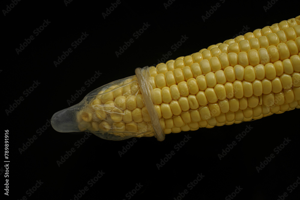 Wall mural Ripe yellow ear of corn with white transparent condom isolated on black background.