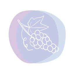 illustration of grapes - 789893374