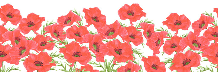 Hand drawn watercolor red poppy flowers seamless frame border isolated on white background. Can be used for banner, textile and other printed products.