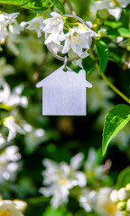 Symbol of the house on the branches of a flowering jasmine
