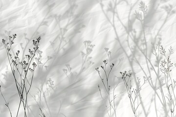 Shadow of plants on a white wall. Abstract natural background for design.