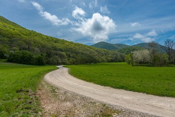 Fototapeta na wymiar a winding country road through a large clearing in a green forest in the Western Caucasus mountains near the village of Abrau (South Russia) on a sunny spring day