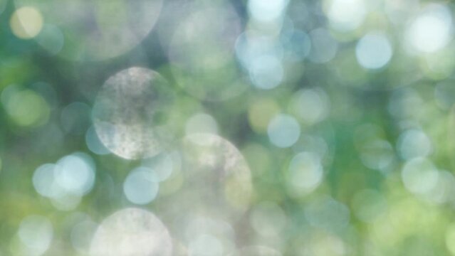 森の木漏れ日と日差し緑の背景　クリスタルのきれいなキラキラ光り輝く大小の明るいボケの回転の背景　自然・レンズボケ・効果・太陽・宝石・ウエディング・パーティーのイメージ