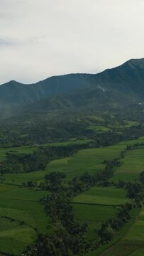 Agricultural plantations and farmland at the foot of the Canlaon volcano. Negros, Philippines