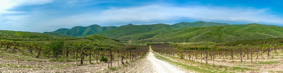 Fototapeta na wymiar panorama of vineyards and a rural road in the green wooded mountains of the Western Caucasus not far from the village of Abrau (South of Russia) on a sunny spring day