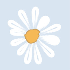 A Beautiful daisy flower, meadow and hand drawn daisy flower on blue backgrounds vector illustration