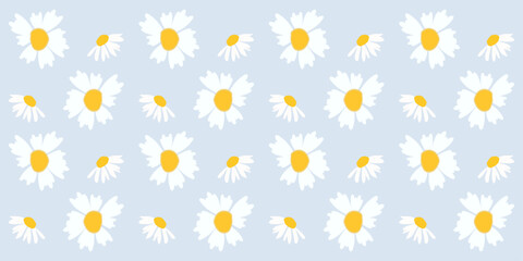 A Set of beautiful daisy flowers on blue background vector illustration. Cute summer wallpaper vector illustrator