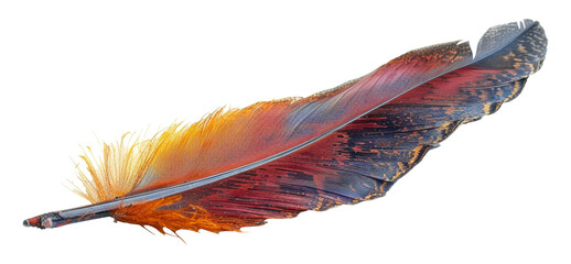 Textured brown feather with ruffled barbs isolated on transparent background - obrazy, fototapety, plakaty