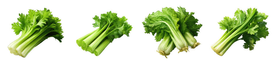 Pack of a Celery transparent PNG