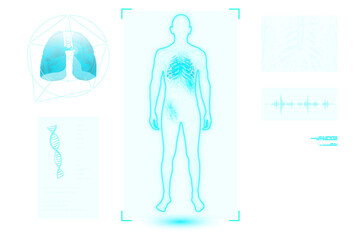 Png human body medical holography