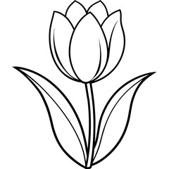 illustration of a flower